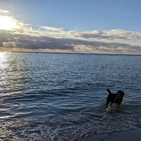 Prázdninový dům 4 Person In Blavand-by Traum