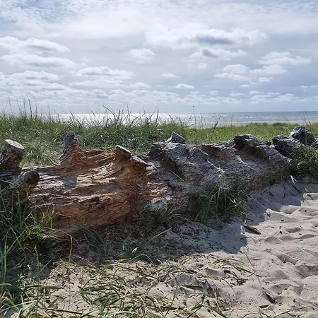 Prázdninový dům 4 Person In Blavand-by Traum