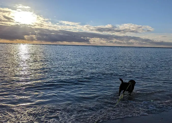 Feriehus 4 Person In Blavand-by Traum