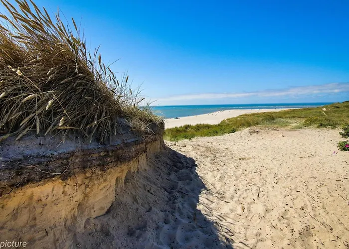 Feriehus 4 Person In Blavand-by Traum Blåvand