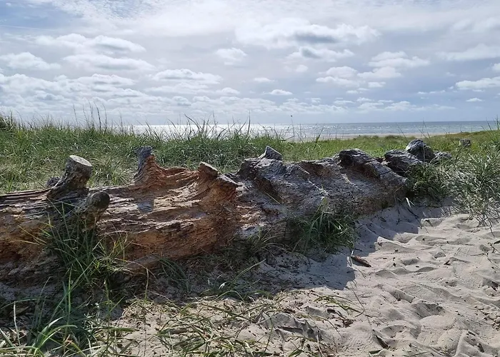 Feriehus 4 Person In Blavand-by Traum